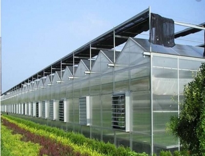 智能溫室大棚展示