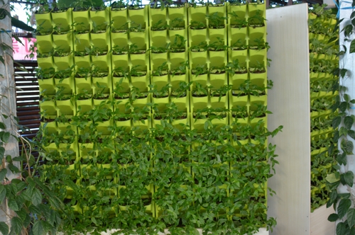 植物墻批發(fā)
