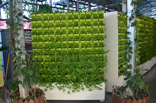 江西植物墻