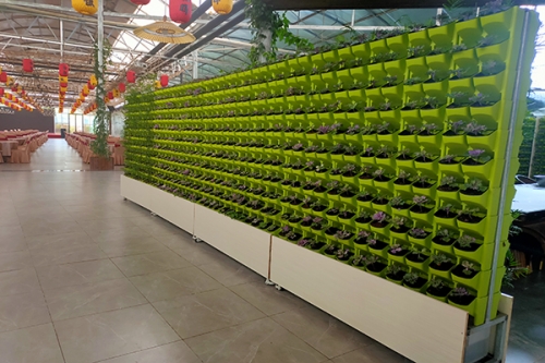 植物墻廠(chǎng)家