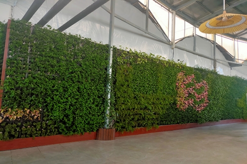 植物墻價(jià)格